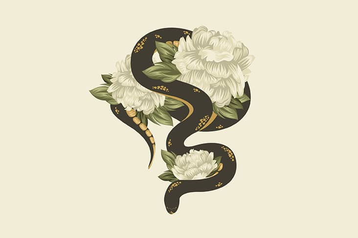 The Biblical Meaning Of Snakes In Dreams