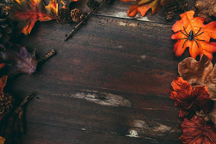 how to celebrate halloween