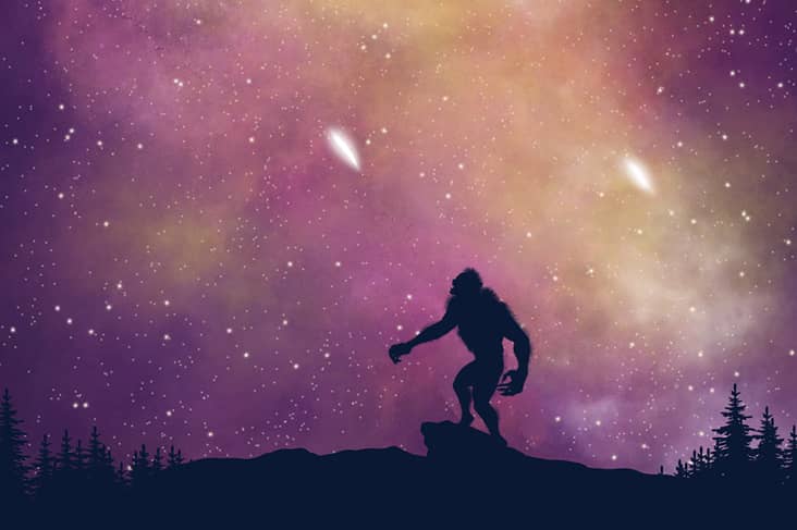 Creatures of the Night Werewolves