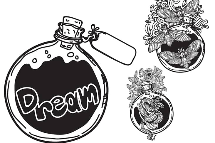 recipes for wild dreams