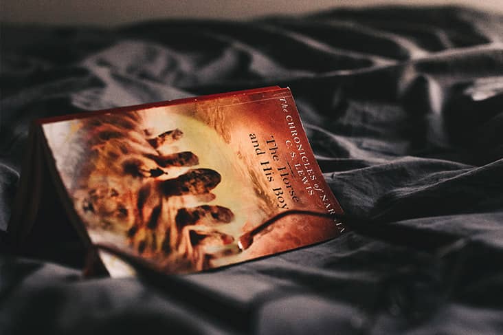 Mythology Behind Narnia Banner