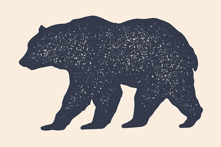 bear dream meaning
