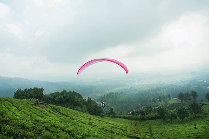 Dream About Skydiving