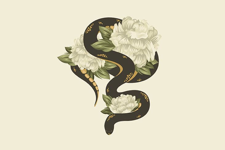 black snake in dream