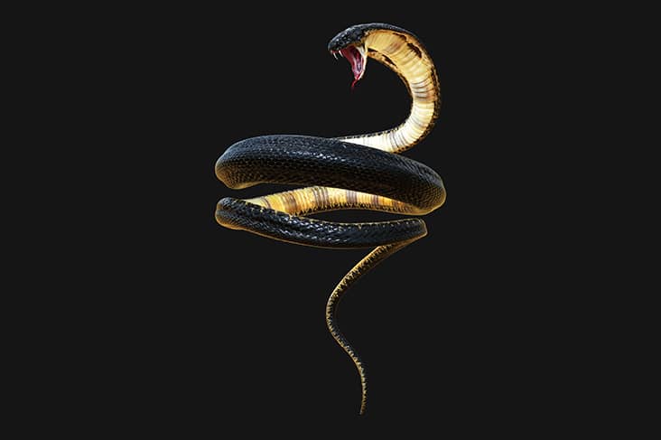 snake bite dream meaning