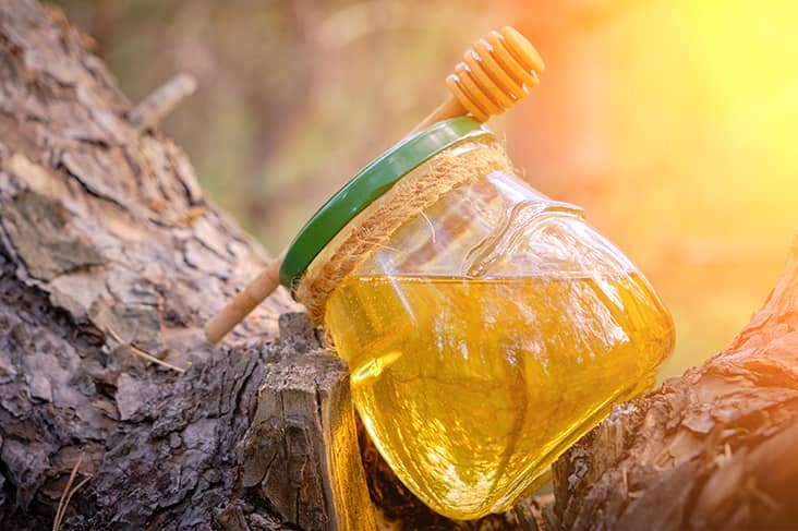 ambrosia greek mythology