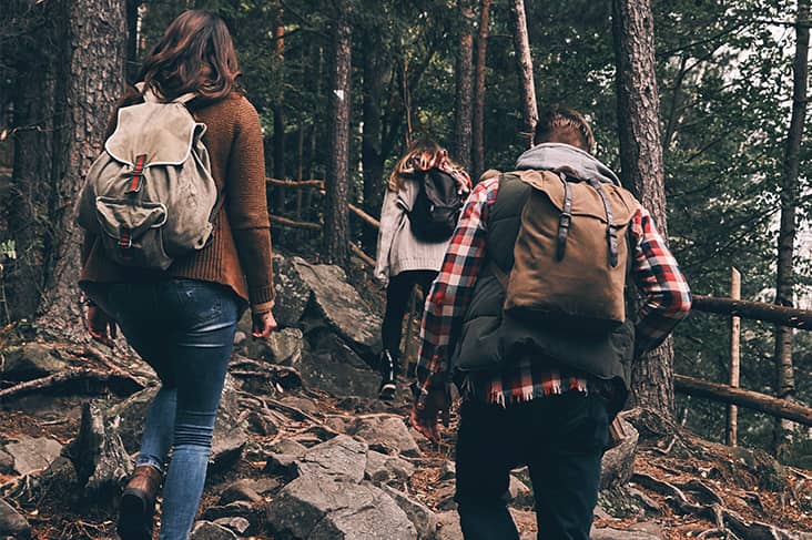 dream about an old friend