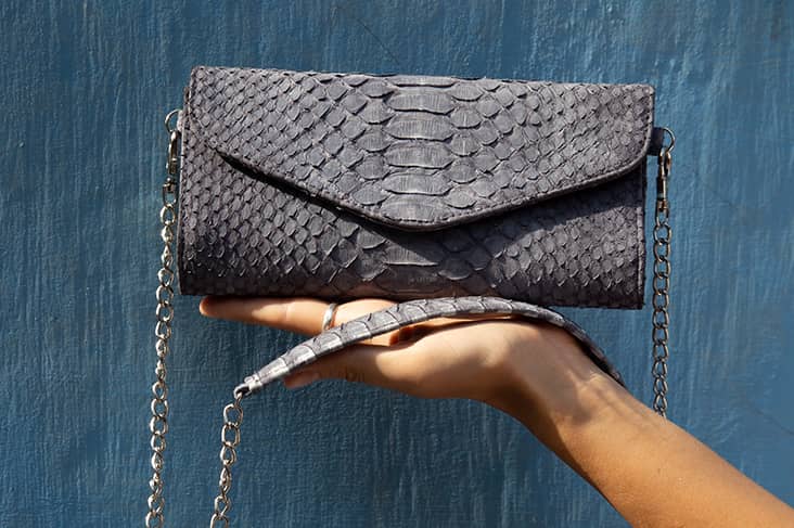 dream about losing purse